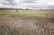CM Panneerselvam declares Tamil Nadu as drought-hit, reschedules farm loans